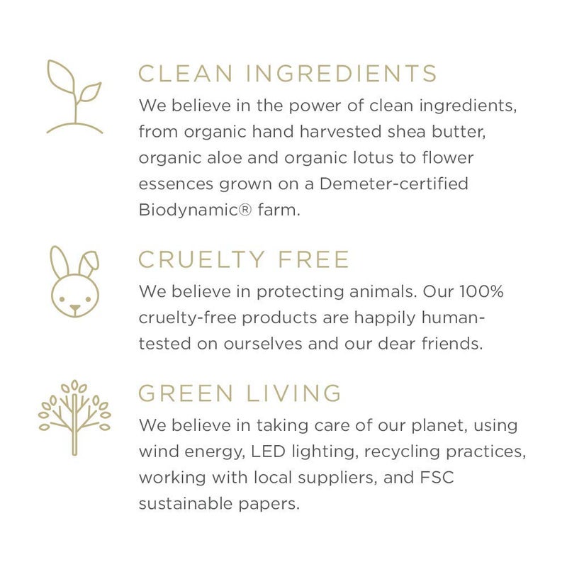 Zents Hand & Body Wash (Anjou Fragrance) | Hydrating Anti-Aging Cleanser with Organic Shea Butter & Aloe for Dry Skin | Gentle & Nourishing | 10 fl oz - Image 4